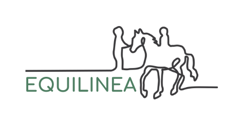 Equilinea - Soin médiatisé par le cheval