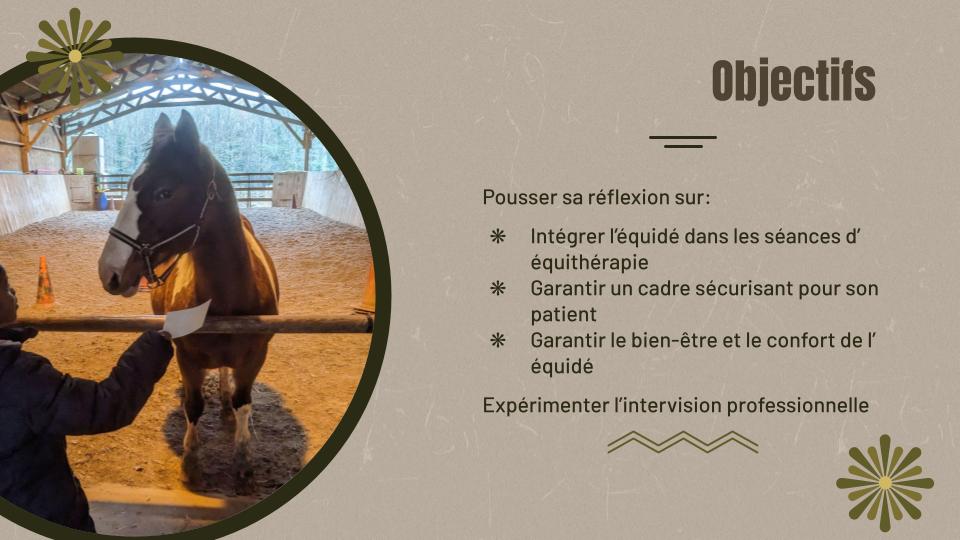 Sécurité physique et sécurité émotionnelle : la base en équithérapie